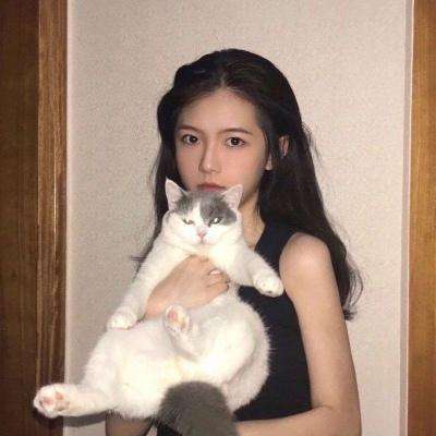 隐秘的原罪3手游下载